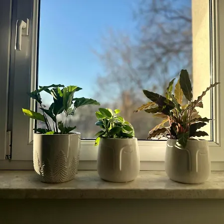 Apartman Smart Varsó